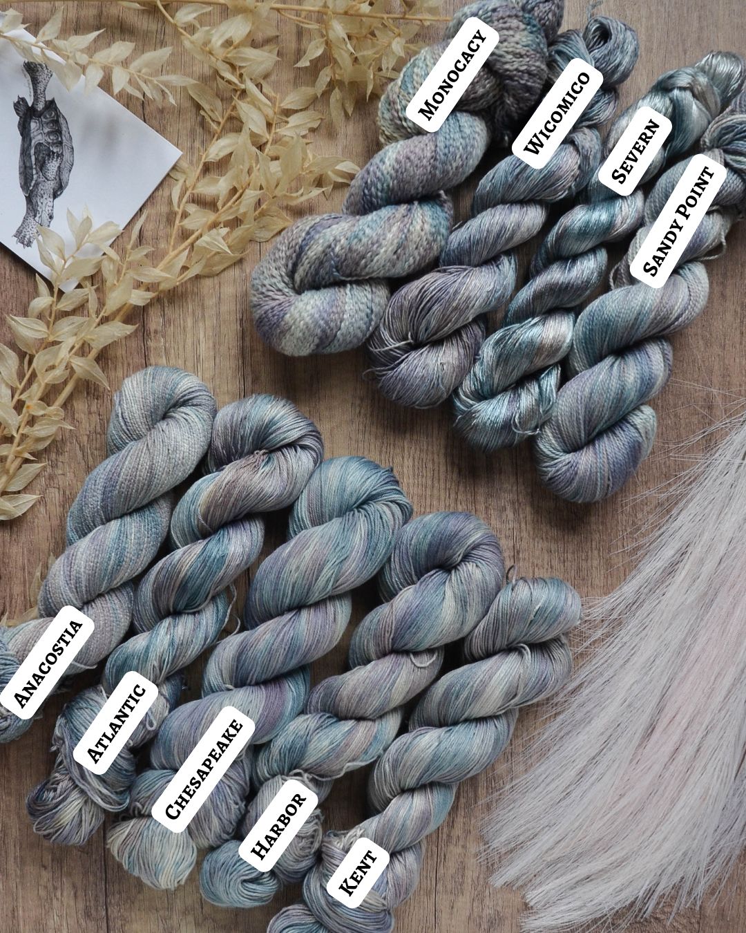 Rialto Beach - In Stock