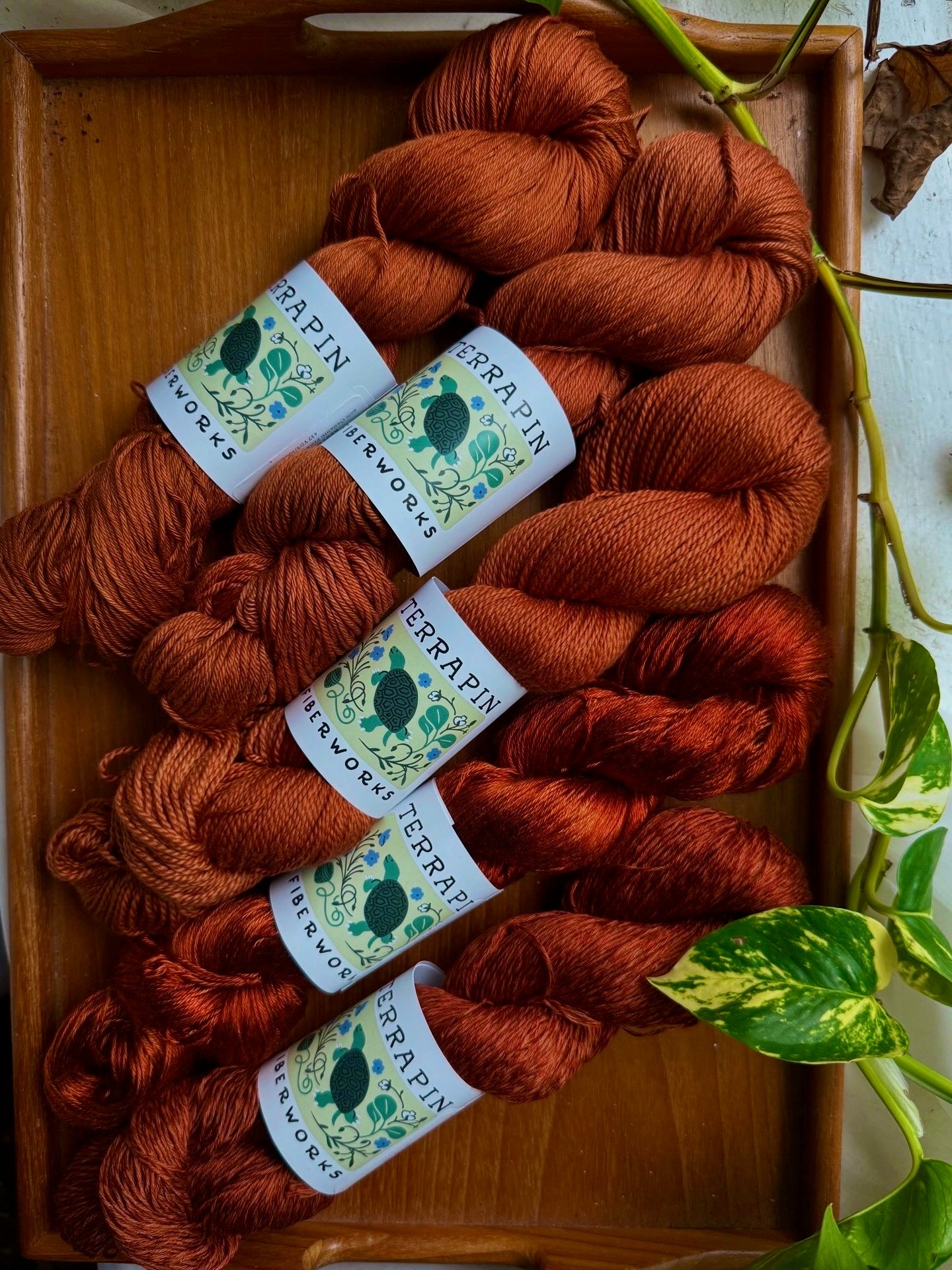 Vixen - In Stock