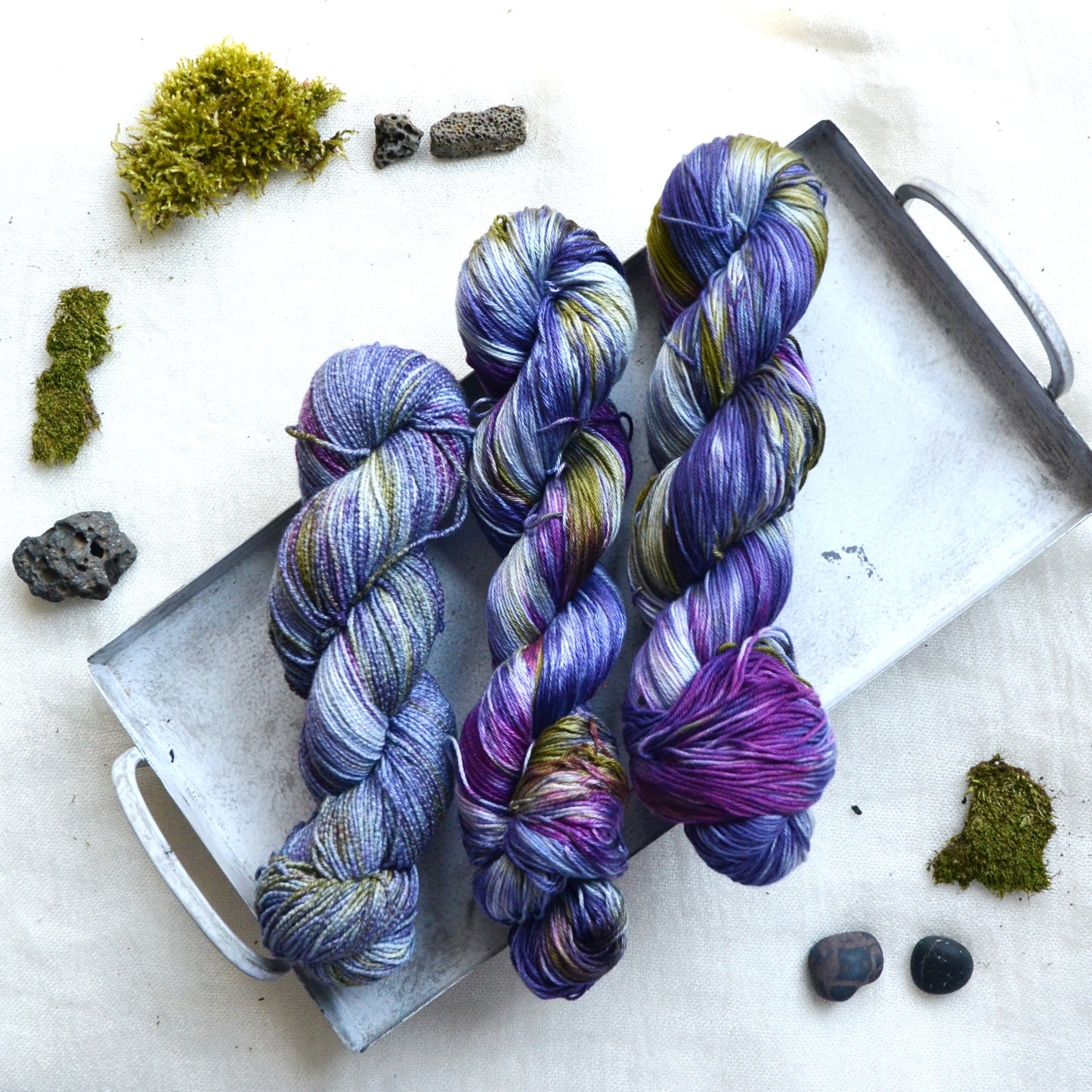 Lupine - In Stock