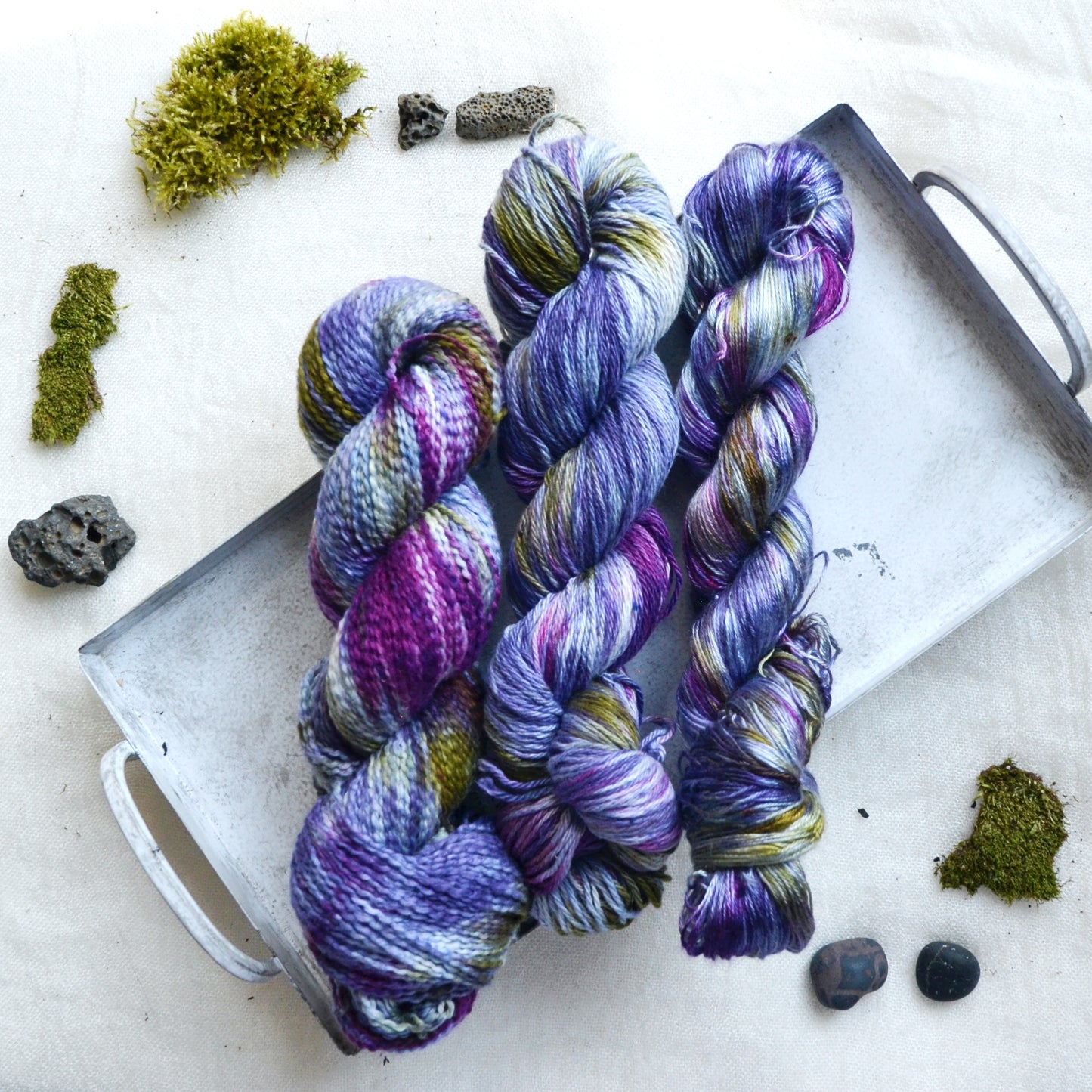 Lupine - In Stock