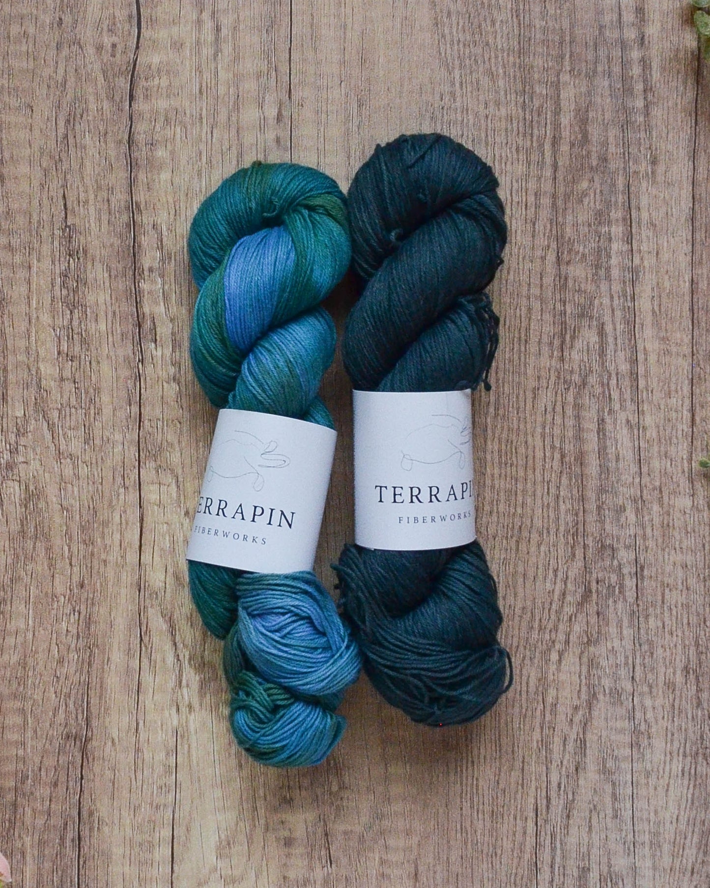 Chesapeake Organic Cotton Fingering - All Bundles