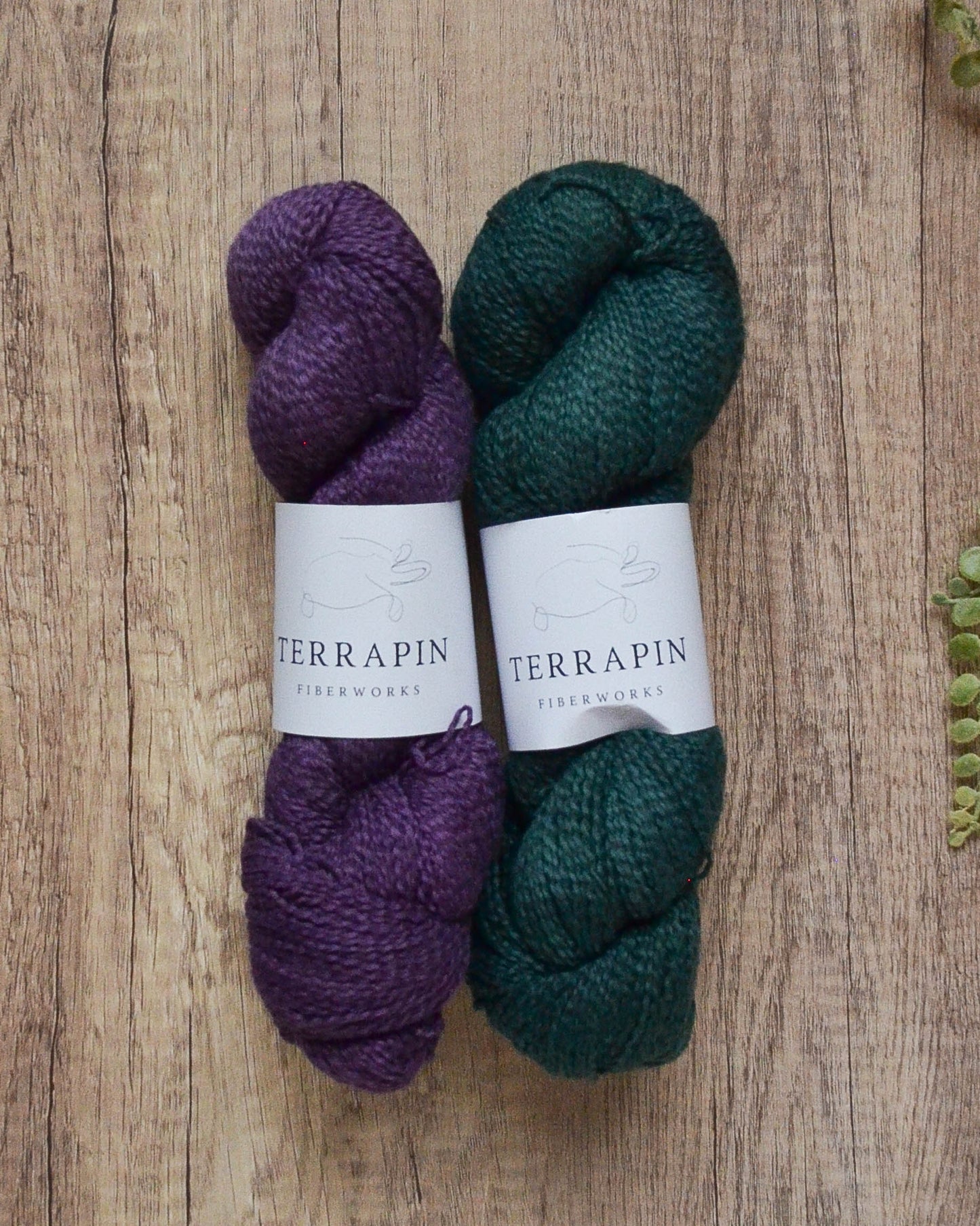 Monocacy Cotton Boucle Fingering - All Bundles