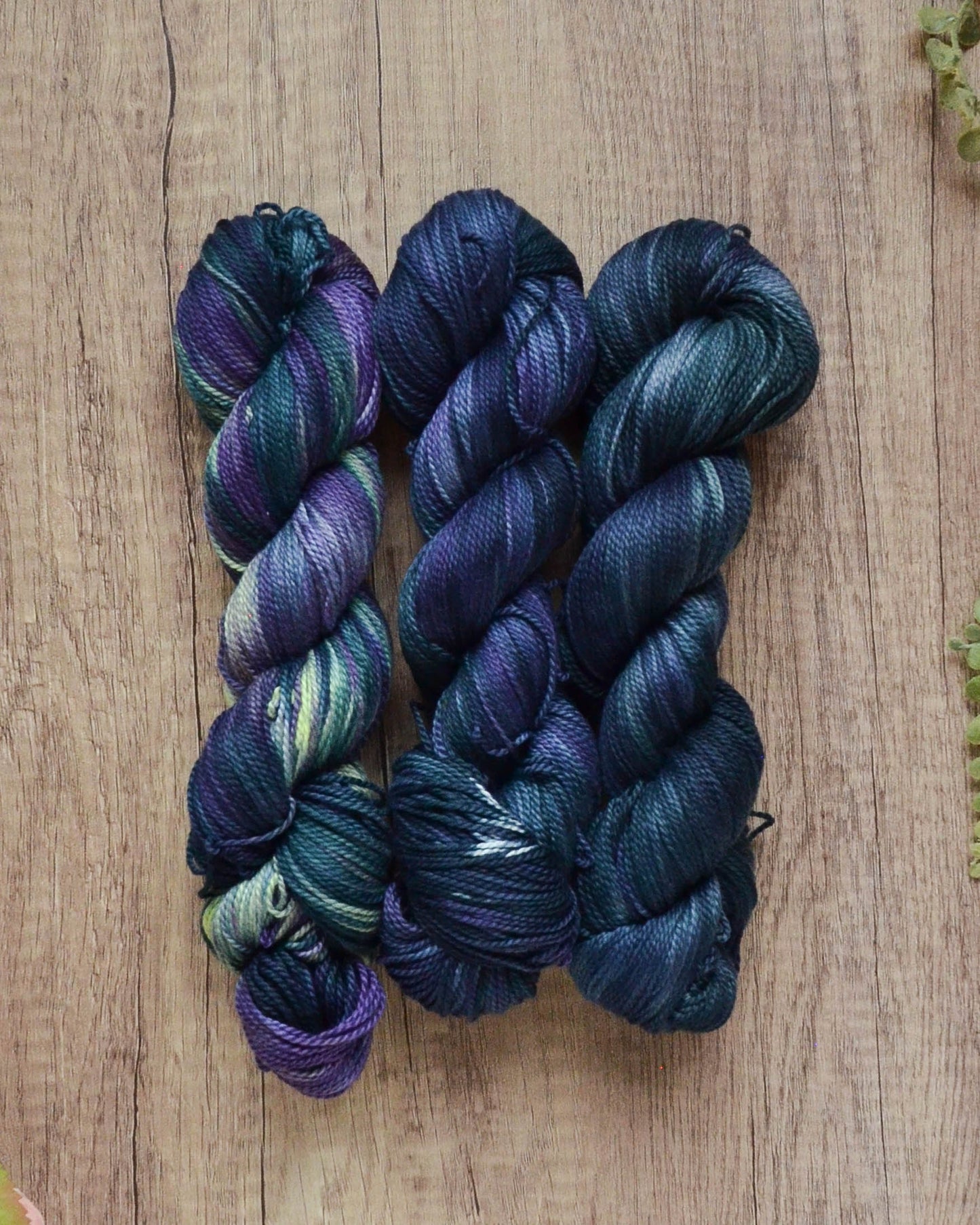 Sandy Point Pima Sport - All Bundles