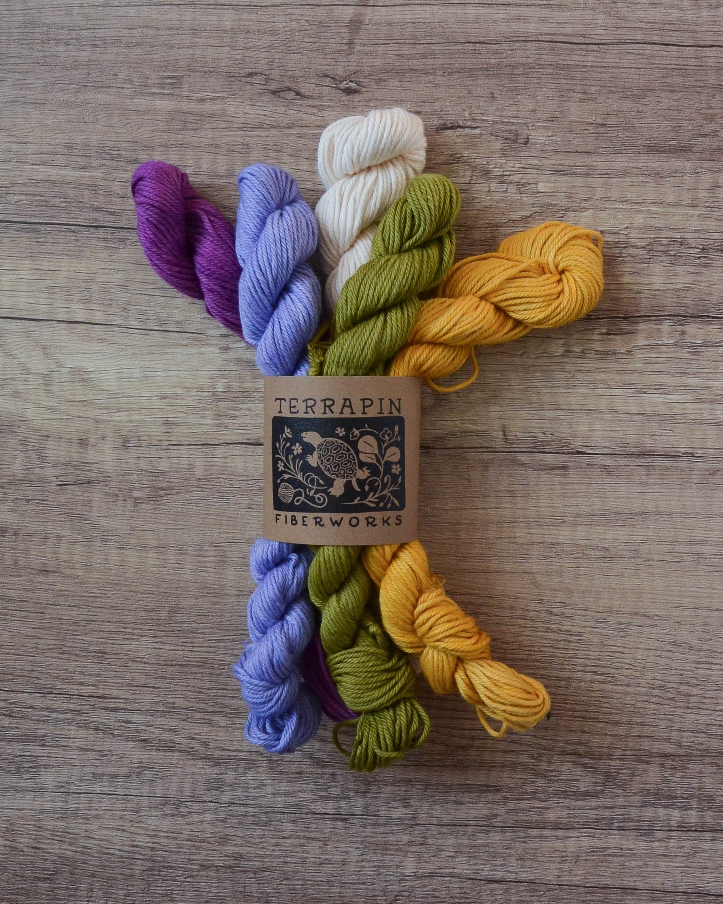 Chesapeake DK - Minis - In Stock