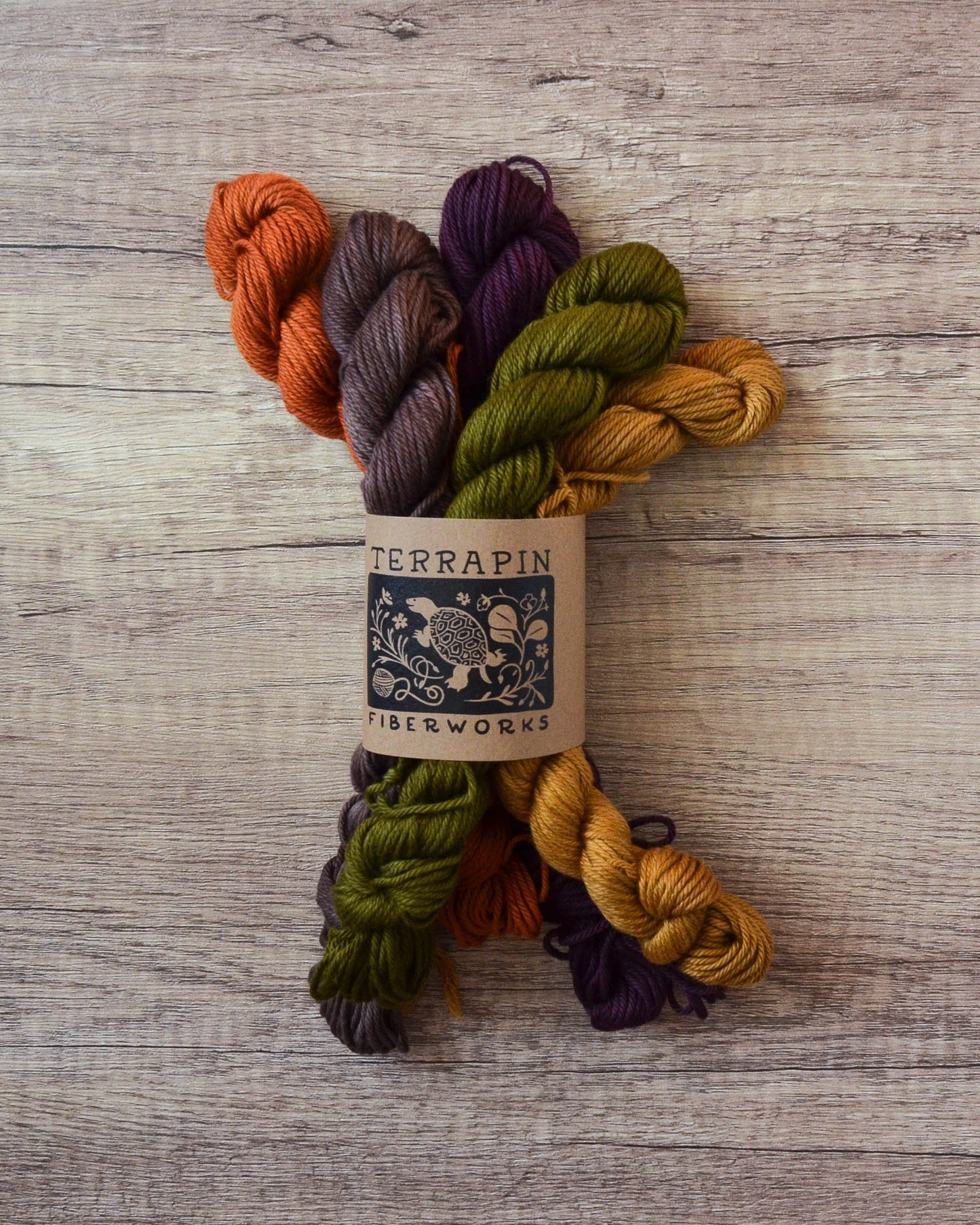 Chesapeake DK - Minis - In Stock