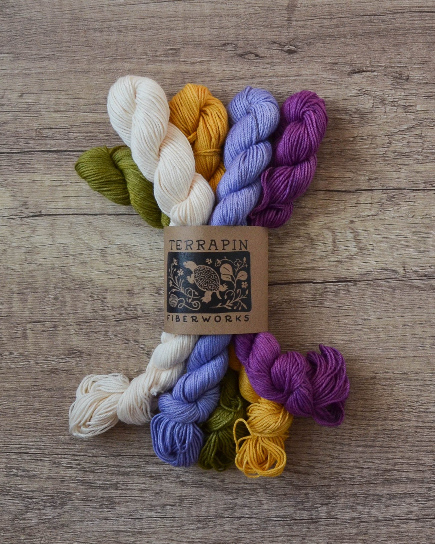 Chesapeake Fingering - Minis - In Stock