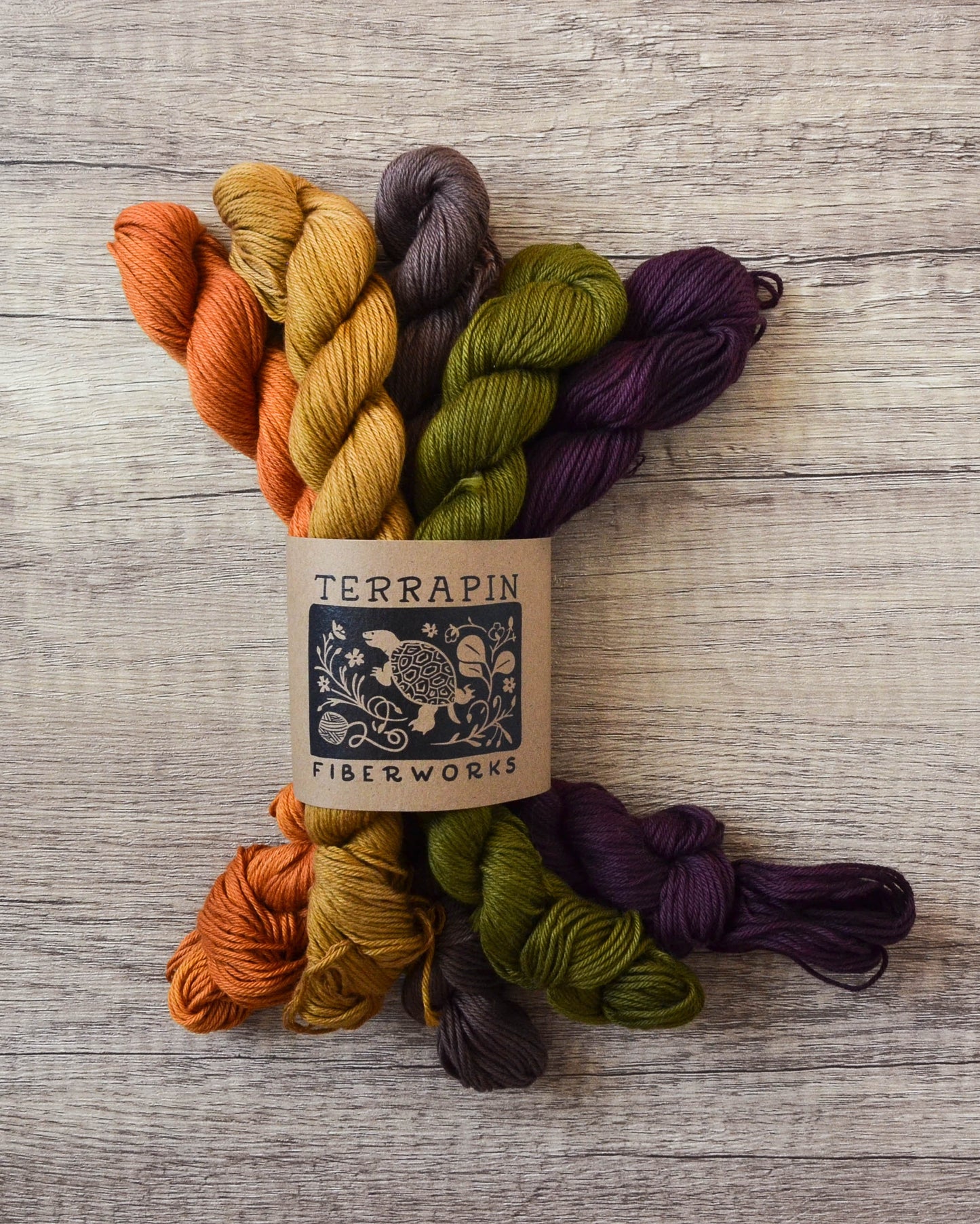 Chesapeake Fingering - Minis - In Stock